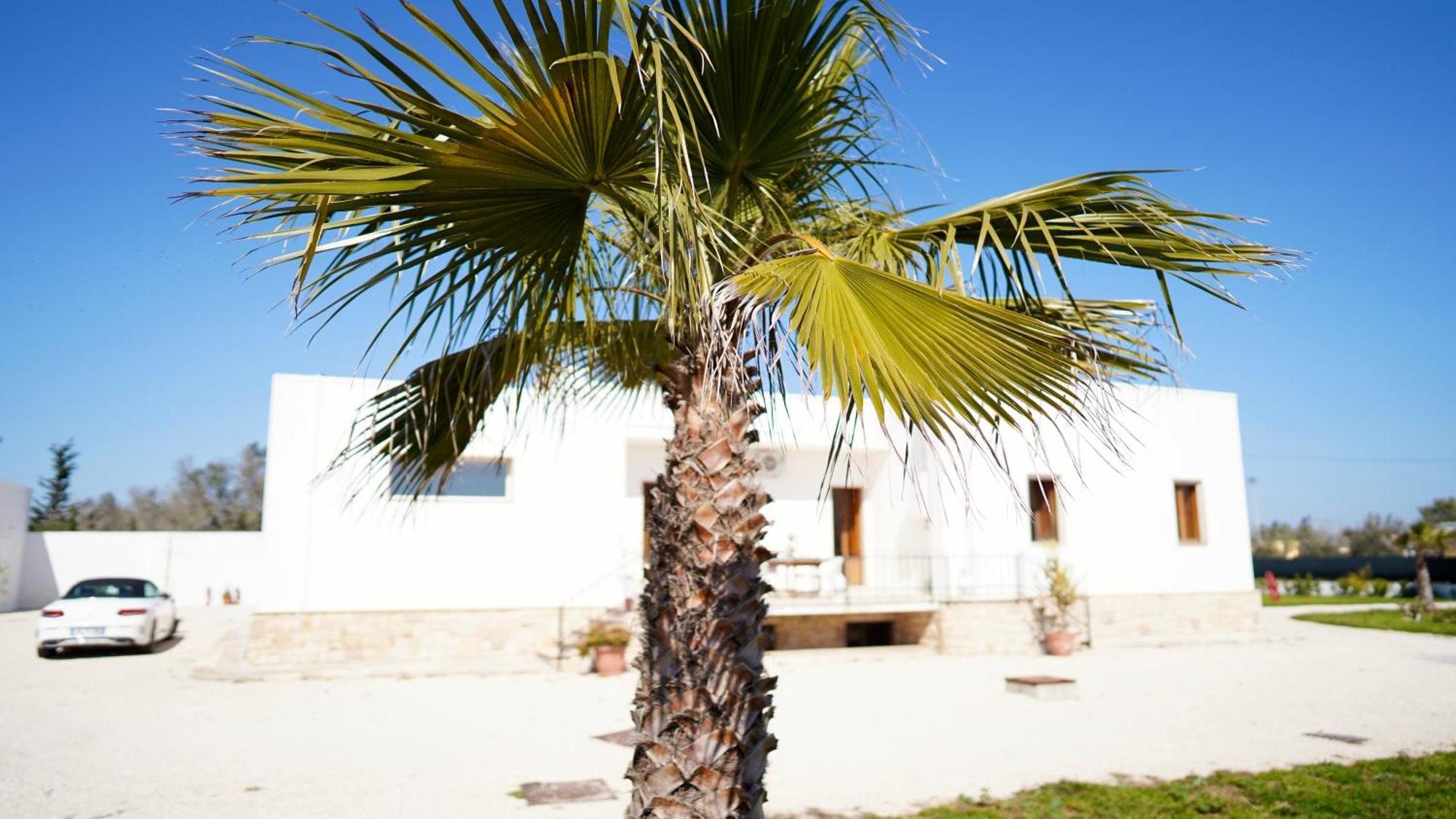 Villa Mia San Ligorio Bagian luar foto