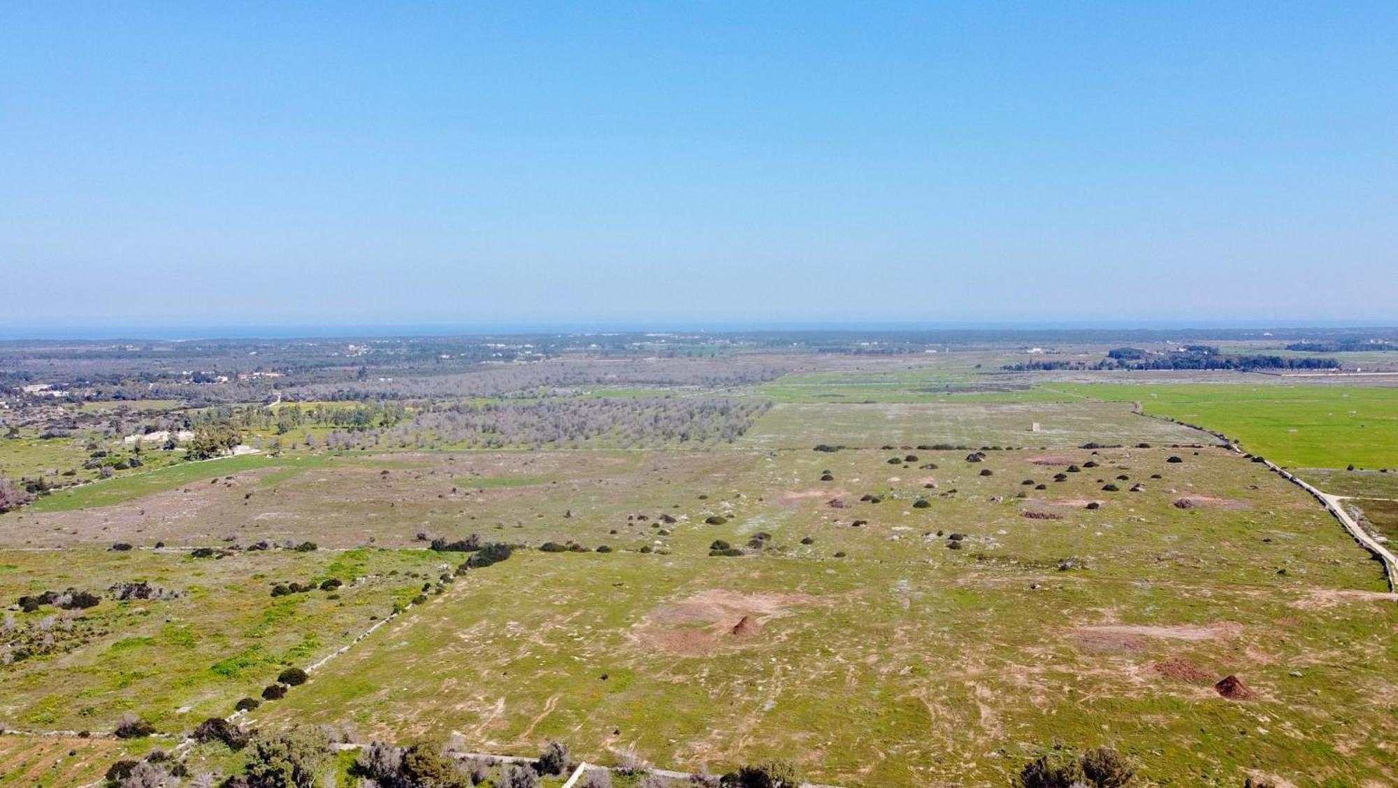 Villa Mia San Ligorio Bagian luar foto