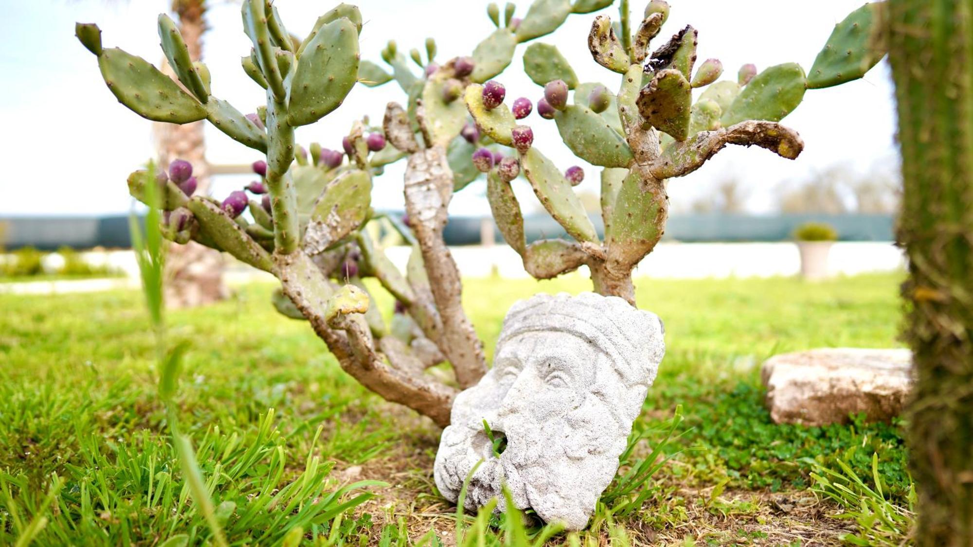 Villa Mia San Ligorio Bagian luar foto