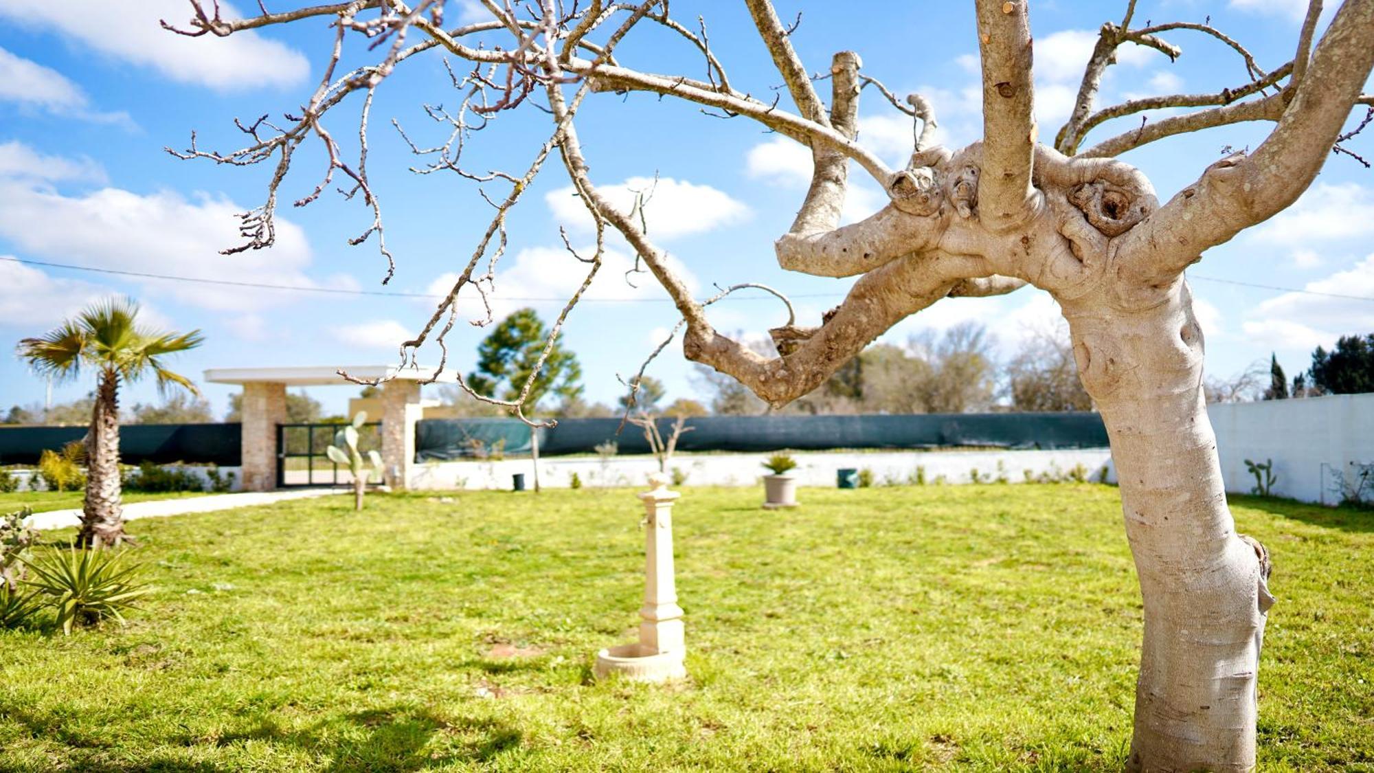 Villa Mia San Ligorio Bagian luar foto