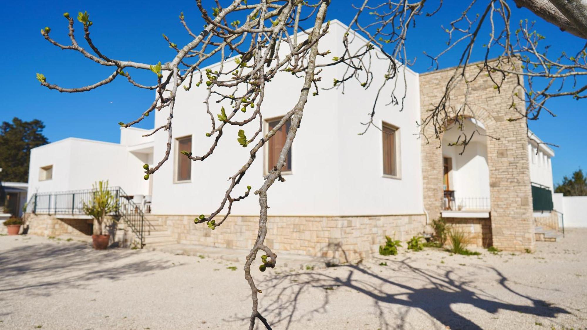 Villa Mia San Ligorio Bagian luar foto